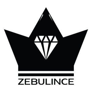 https://zebulince.com/wp-content/uploads/2023/05/cropped-Zebulince-Alt-Logo.jpg