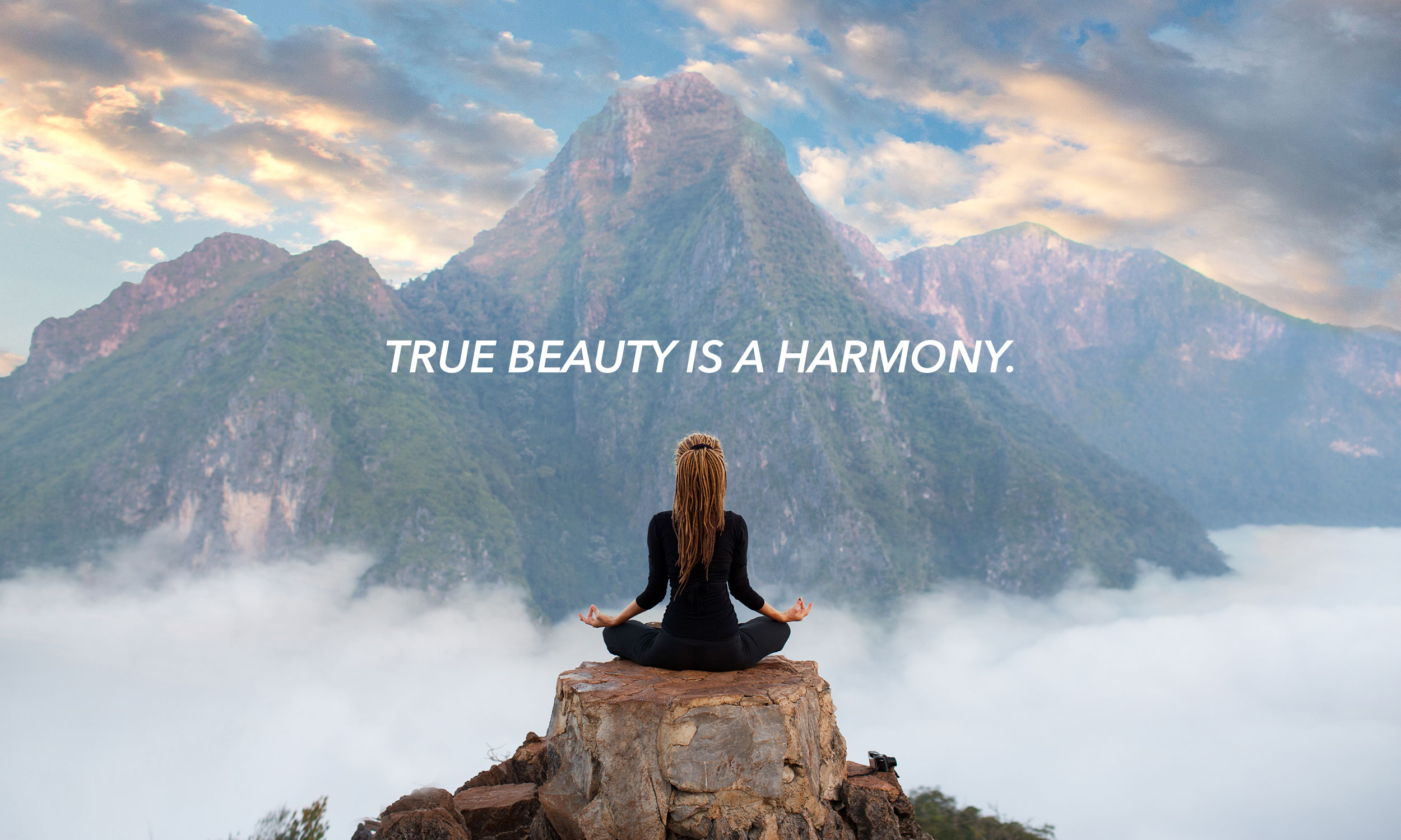 True-beauty-is-a-harmony-Zebulince